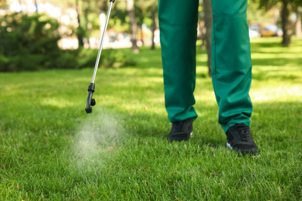 Best Mosquito Control Services  in Sunland Park, NM