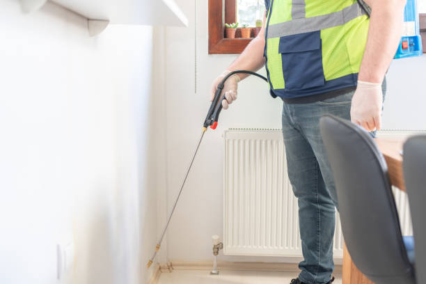Best Cockroach Control Services  in Sunland Park, NM