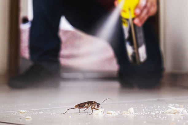 Pest Control for Restaurants in Sunland Park, NM