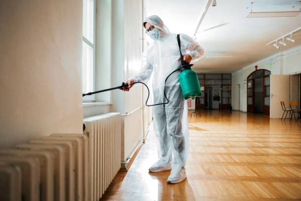Best Affordable Pest Control Services  in Sunland Park, NM