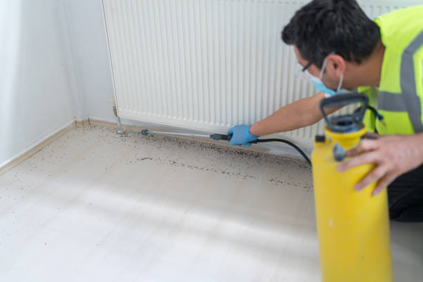 Best Pest Control for Restaurants  in Sunland Park, NM